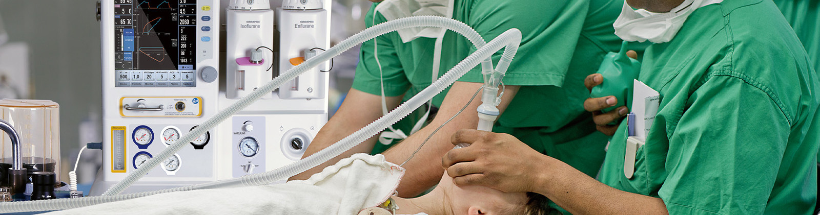 kwaliteit Purple Horn ventilator fabriek